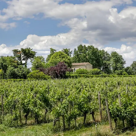 Willa Maison Vinicole *