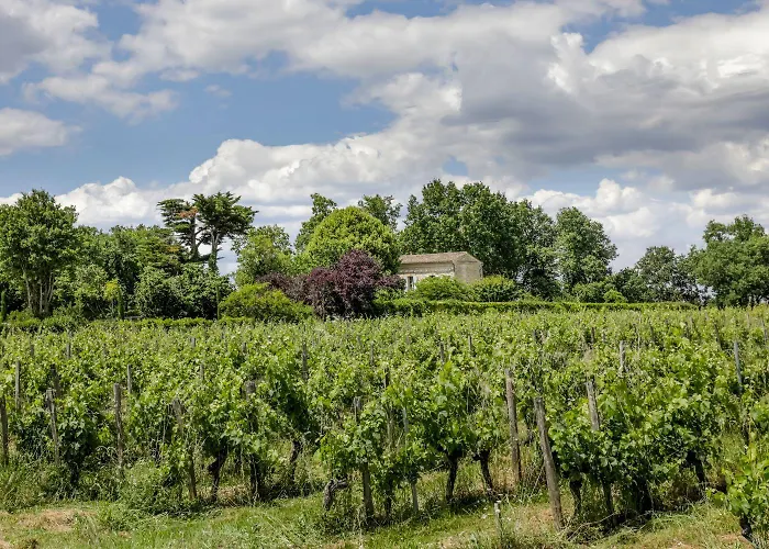 Villa Maison Vinicole *